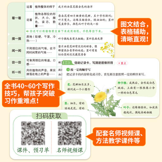 同步作文.4年级.下册(第9次修订) 商品图3