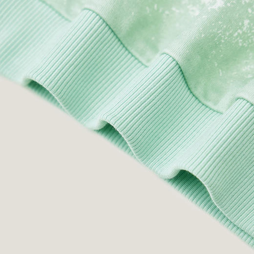 英氏儿童长袖T恤春秋新款翻领上衣卫衣男宝宝polo衫YRTAJ1P203A 商品图2