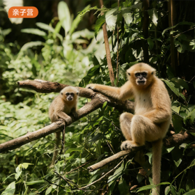 海外亲子营｜马来西亚亲子营6天5晚·2026夏令营