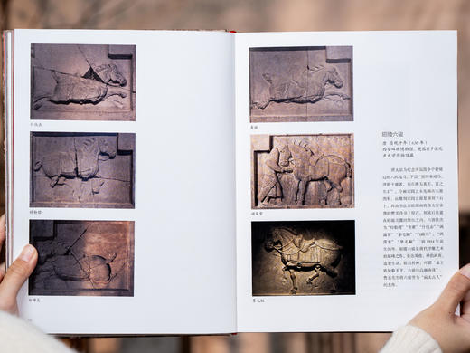 【春节不打烊】《大唐气象 刷边版》|《百家讲坛》主讲人领读，500+珍稀文物集结，左手读史，右手鉴宝，一套书“复活”盛世大唐|前300名赠 “六骏呈祥”屏风礼，寓意马到成功、龙马精神 商品图8