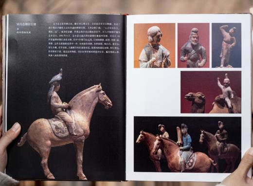 《大唐气象：隋唐的史诗与瑰宝》（限量刷边版），随书附赠：六骏呈祥·贞观经典影像屏风礼，(包含1个信封，1个屏风折页，2个底座，6张马的卡片) 商品图7