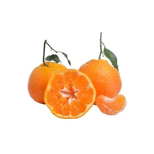 四川蒲江耙耙柑（1200±100g） 商品图1