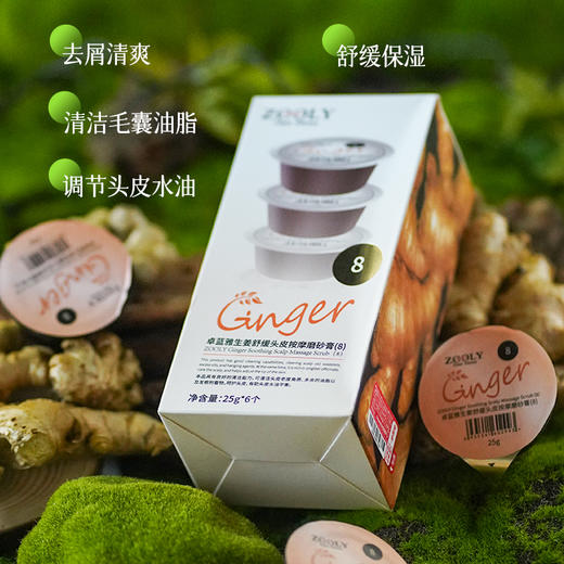 清仓【1件29元】卓蓝雅生姜头皮按摩膏25ml*6（8号果冻装） 商品图2
