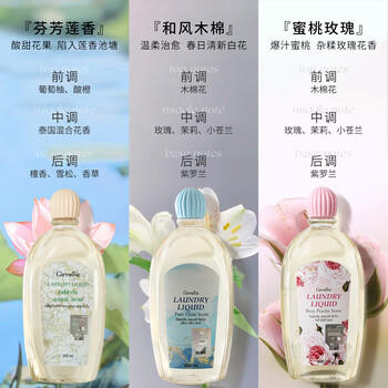 芝芙莲内衣内裤洗衣液清洁液500ml*3瓶装 专用去血渍污渍持久留香 /家庭清洁/纸品 /衣物清洁 /内衣洗衣液 商品图0