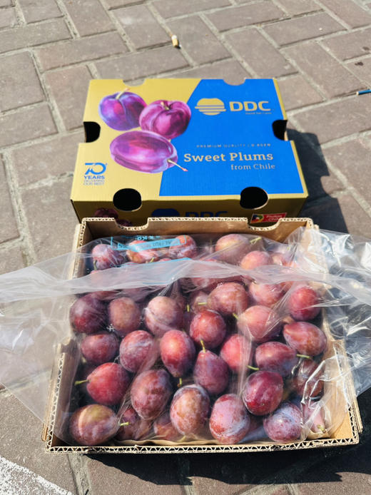 智利甜西梅 商品图9