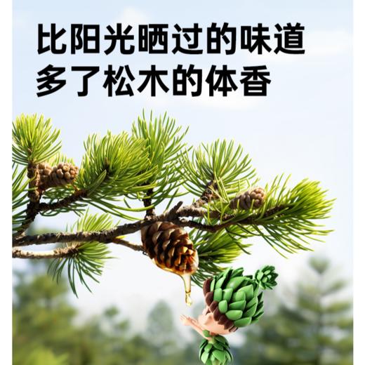 【119.9元2瓶*1.2L】滴露消毒液1.2L衣物家居消毒家用经典消毒杀菌 商品图2