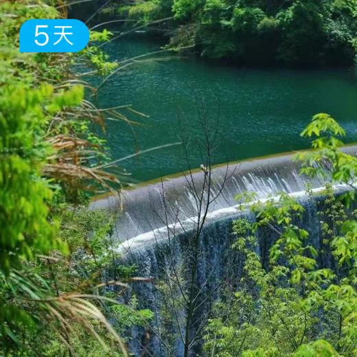 春季黄山徒步大会｜36公里入门级徒步 赏高山杜鹃 5日 商品图7