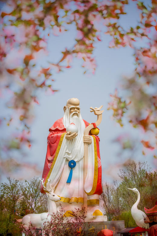 4.6确定出发【缤纷苏北】梨兰花会•荷兰花海•麋鹿荡丹顶鹤6天摄影 商品图11