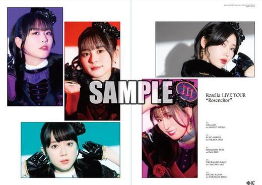 BanG Dream! Roselia LIVE TOUR 「Rosenchor」 OFFICIAL PHOTOBOOK 商品图1