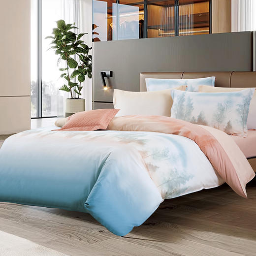 鑫缘 全棉印花四件套 DMD7418 商品图3