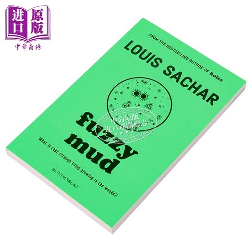 【中商原版】模糊的泥 Fuzzy Mud 英文原版 Louis Sachar 商品图10