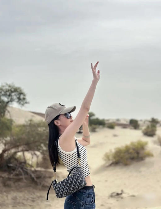 Dior Travel Nomad 饭盒 手提包 商品图1