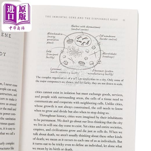 【中商原版】我们为何衰老 衰老的新科学与永生的追求 Why We Die 英文原版 Venki Ramakrishnan 诺贝尔奖得主生物学家 商品图2