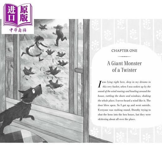 【中商原版】绿野仙踪 小狗托托的自述 Michael Morpurgo Toto The Wizard of Oz as told by the dog 英文原版黑白插图章节书 商品图2
