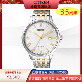 西铁城机械手表复古罗马数字间金钢带男表NJ0084-59A