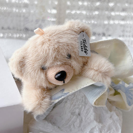 正版泰迪小蛮腰发圈-纪念日百货门店同款169599522 商品图1