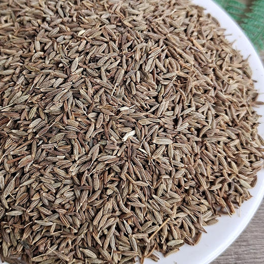 孜然粒(散)10斤 商品图0