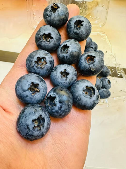 云南花香脆星空蓝莓 脆甜好吃18+ 商品图5