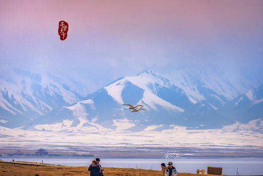 新疆伊犁杏花、冰百合花，天山胜利隧道建筑奇迹、库尔德宁8天摄影团：杏染天山 伊犁双杏花+赛里木湖8天 商品图9