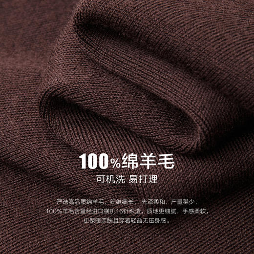 可机洗纯羊毛针织POLO衫 商品图2