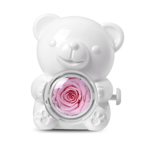 Fanci 范琦 【周边】告白小熊 - 永生花首饰盒 商品图2