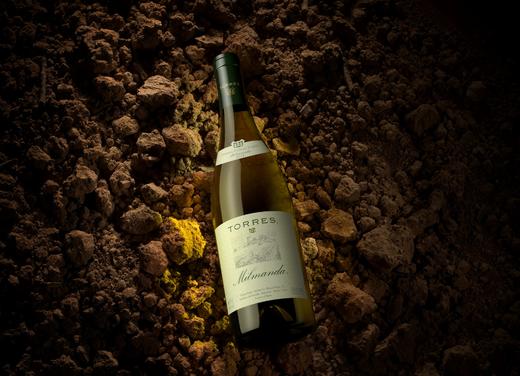 桃乐丝米尔曼达干白葡萄酒 Torres-Milmanda 商品图2