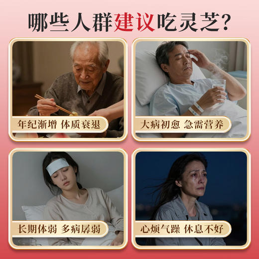 元生泰 紫灵芝茶 4g*5袋/盒 袋泡茶 滋补养生茶 武夷山紫灵芝茶切碎丁 营养品 商品图1