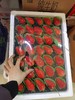 章姬 牛奶草莓 整件 大果 商品缩略图1