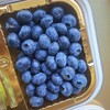 云南L25花香蓝莓20mm+【250克*2盒装】～果粉好，硬度好，非常好吃的一款蓝莓，脆甜有果香，甜甜的小糖豆，嘎嘎脆。 商品缩略图5