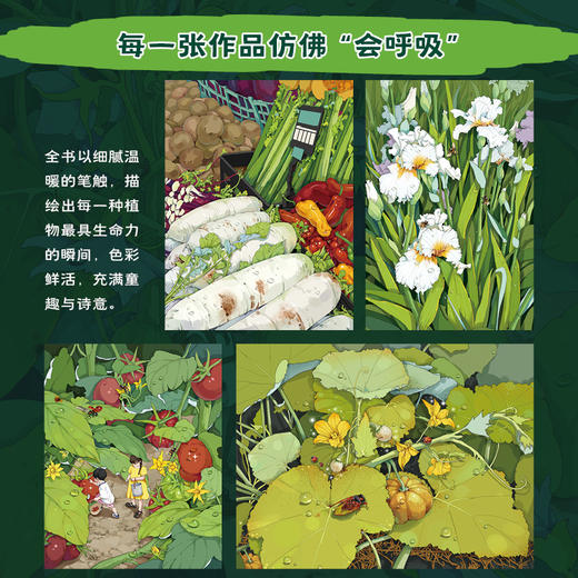 身边的大自然：画给孩子的植物观察笔记  用精美的手绘插图和生动的文字介绍了植物的各种知识 商品图4