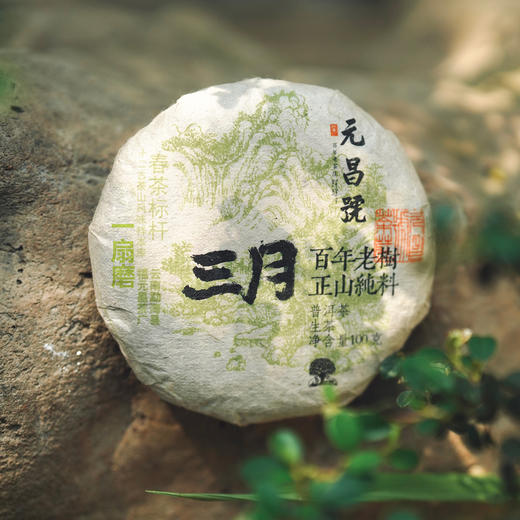 【元昌号】2026年三月系列头春大树一扇磨100g生饼 商品图1