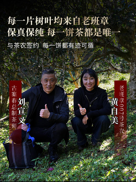 【老班章单株】春茶预售2026年重磅升级为单株树龄更大工艺更优异，持续加码傲视来袭，茶界鼎级老班章，357克/饼 7饼/提 商品图4