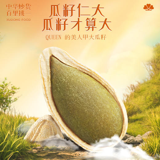 【大片】旭东美人甲椒盐味薄皮南瓜子精美铁罐炒货年货休闲零食 商品图2