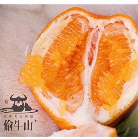 偷牛山有机耙耙柑 商品图0