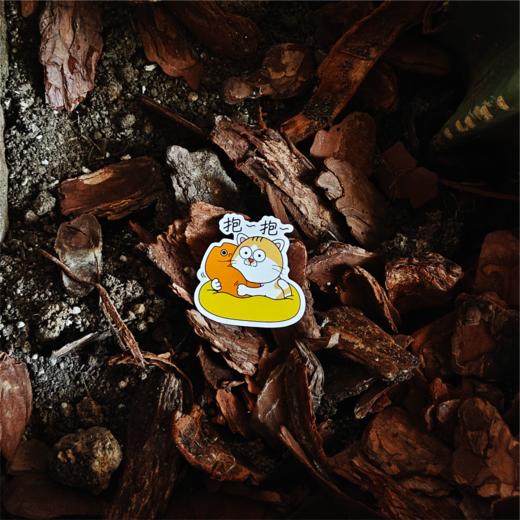 暂停贴纸！脑小花冯老师和暂停态度第一弹 商品图4