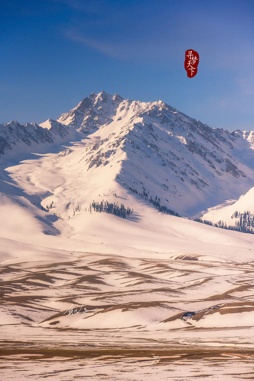 新疆伊犁杏花、冰百合花，天山胜利隧道建筑奇迹、库尔德宁8天摄影团：杏染天山 伊犁双杏花+赛里木湖8天 商品图10