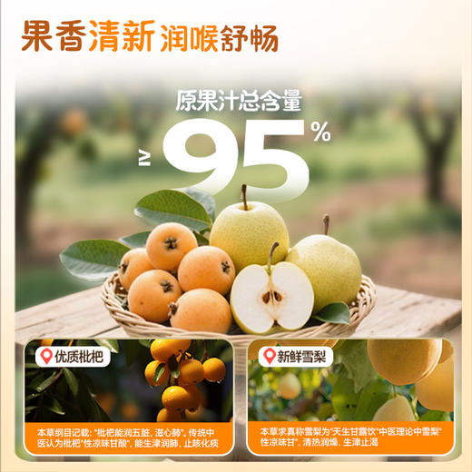 【新品】贝因美枇杷雪梨汁饮料果汁饮品零食学生100g*12袋 商品图4