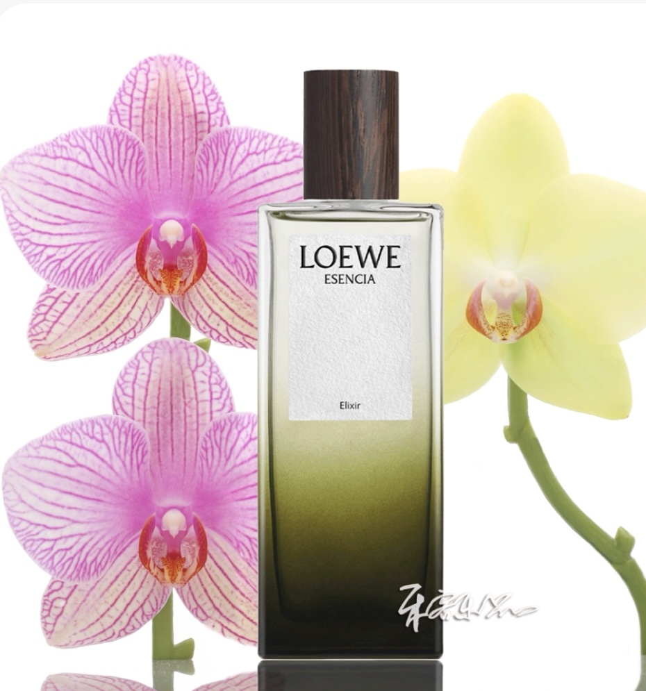 罗意威 黑色圆舞曲浓香精 Loewe Esencia Elixir 小样/正装