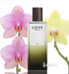 罗意威 黑色圆舞曲浓香精 Loewe Esencia Elixir 小样/正装