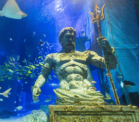 【广州正佳极地海洋世界】门票