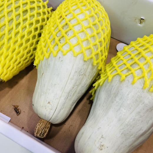 【新疆金丝板栗🌰大南瓜🎃】软糯香甜的贵族南瓜，辅食必备哈 商品图6
