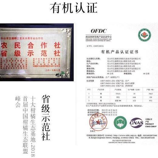 偷牛山有机耙耙柑 商品图4