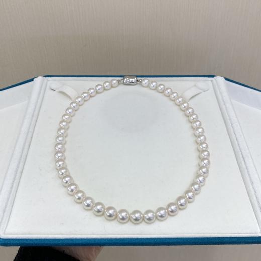 8.5-9mmakoya项链 商品图0