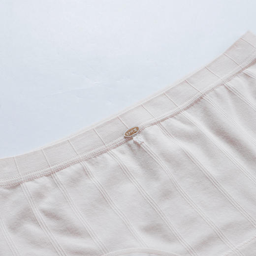 竖条暗纹女士内裤-纪念日百货门店同款169252676 商品图4