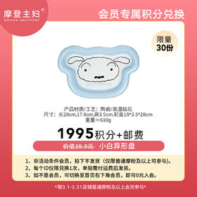 【3月会员积分兑换专享】小白异形盘（拍此链接不发货）