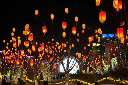 🏮【2026成都世博园新春灯会】
🌈新春光影嘉年华正式开幕
🪔3大主题灯组+光影秀
😎非遗潮趣双 buff 商品图10