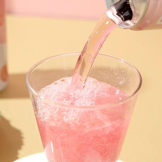 麦德龙 麦臻选 紫苏桃桃气泡饮 310ml*12 商品图2