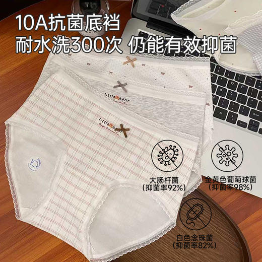 女士全棉印花舒适内裤（bear） 商品图1