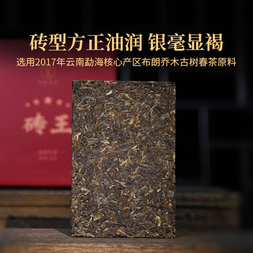 双陈普洱2023年五星砖王300克浓强厚重品质优秀滋味强劲延续04年五星砖王 商品图2