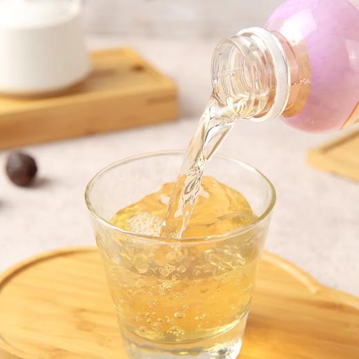 麦德龙 麦臻选 九制陈皮水 280ml*15 商品图3